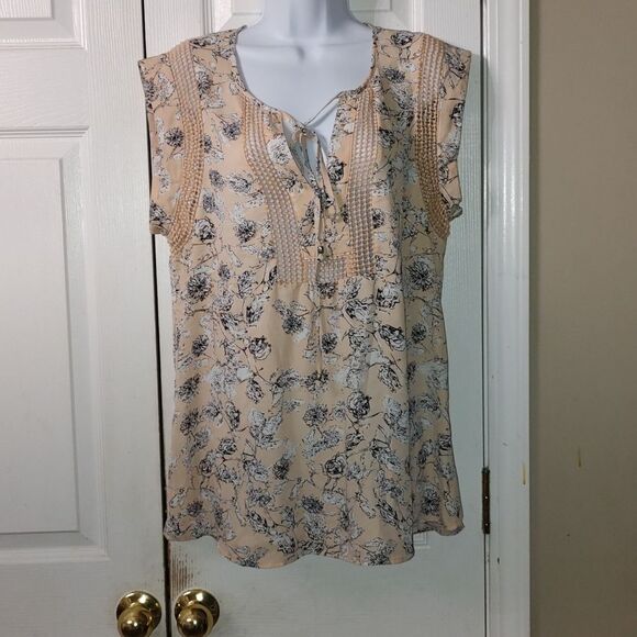 Daniel Rainn  sheer blouse  Sz L - Picture 1 of 6